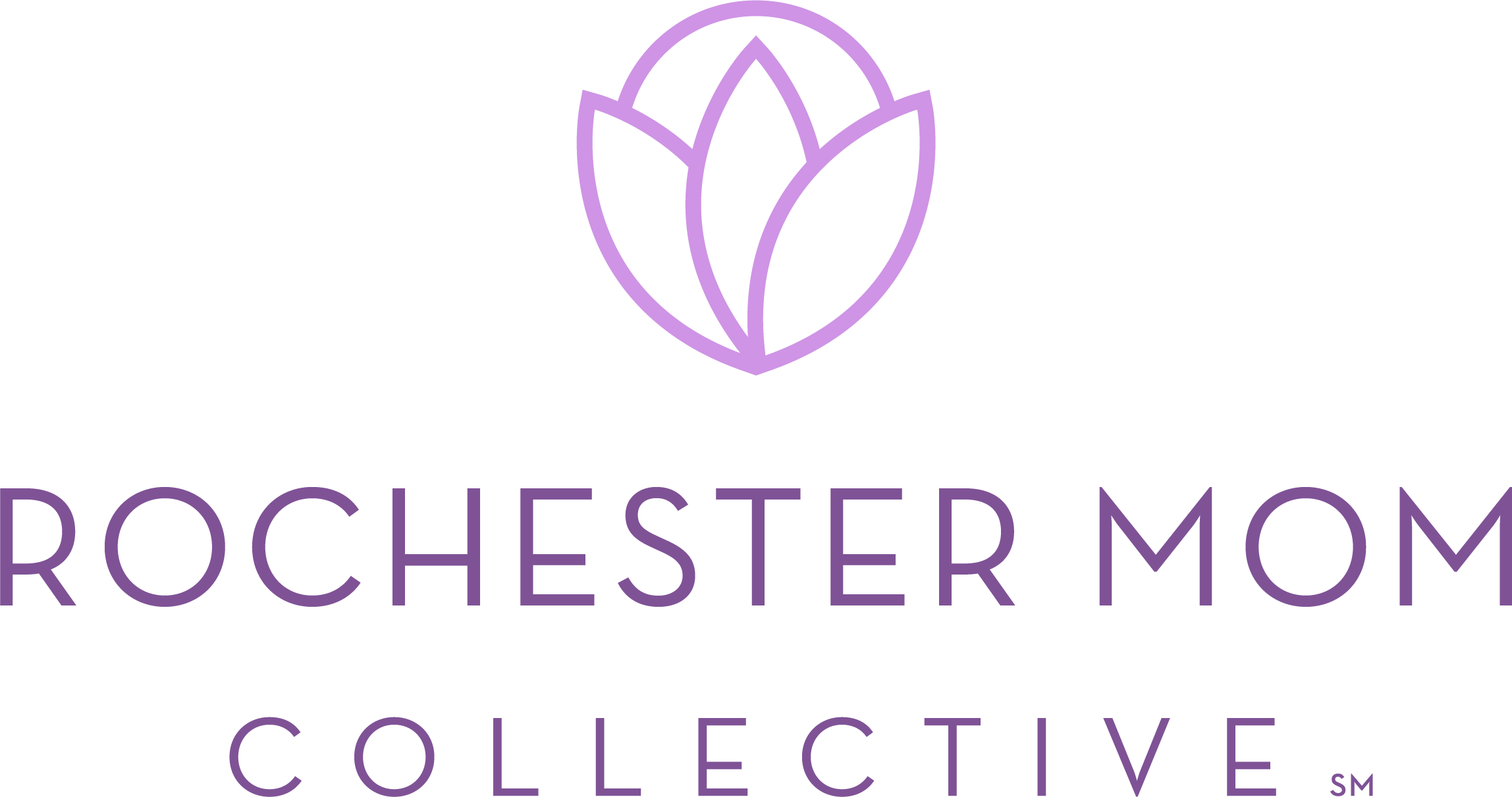 special-needs-archives-rochester-mom-collective