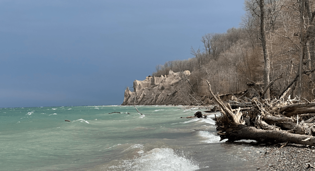 Waves roll up on a beach with broken trees with rocky cliffs in the distance.