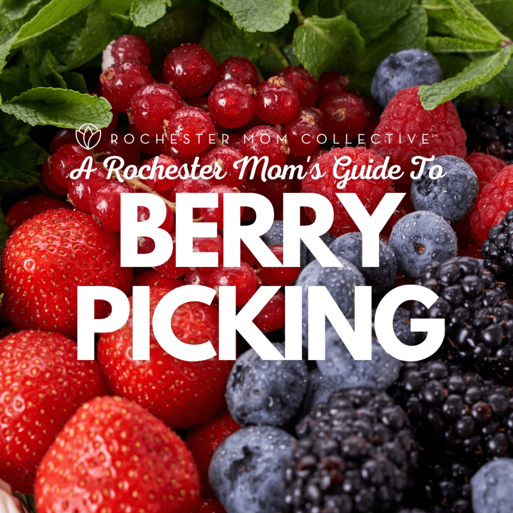 Guide To Berry Picking