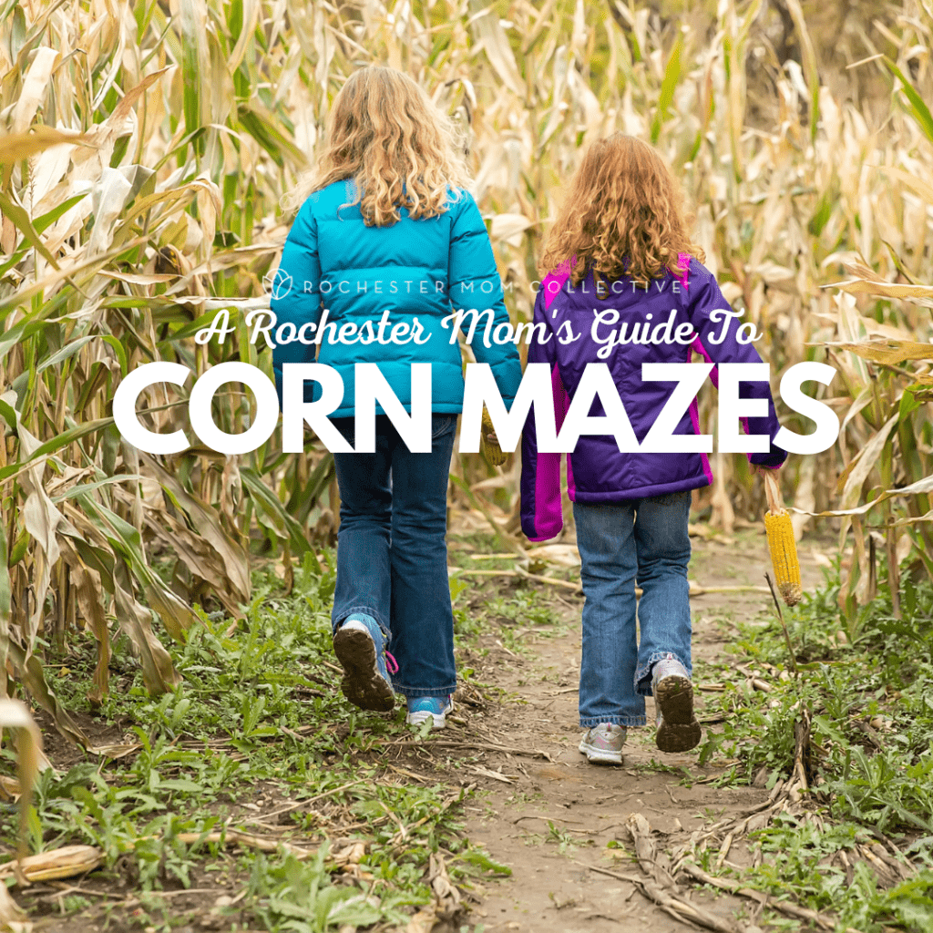 Guide To Corn Mazes