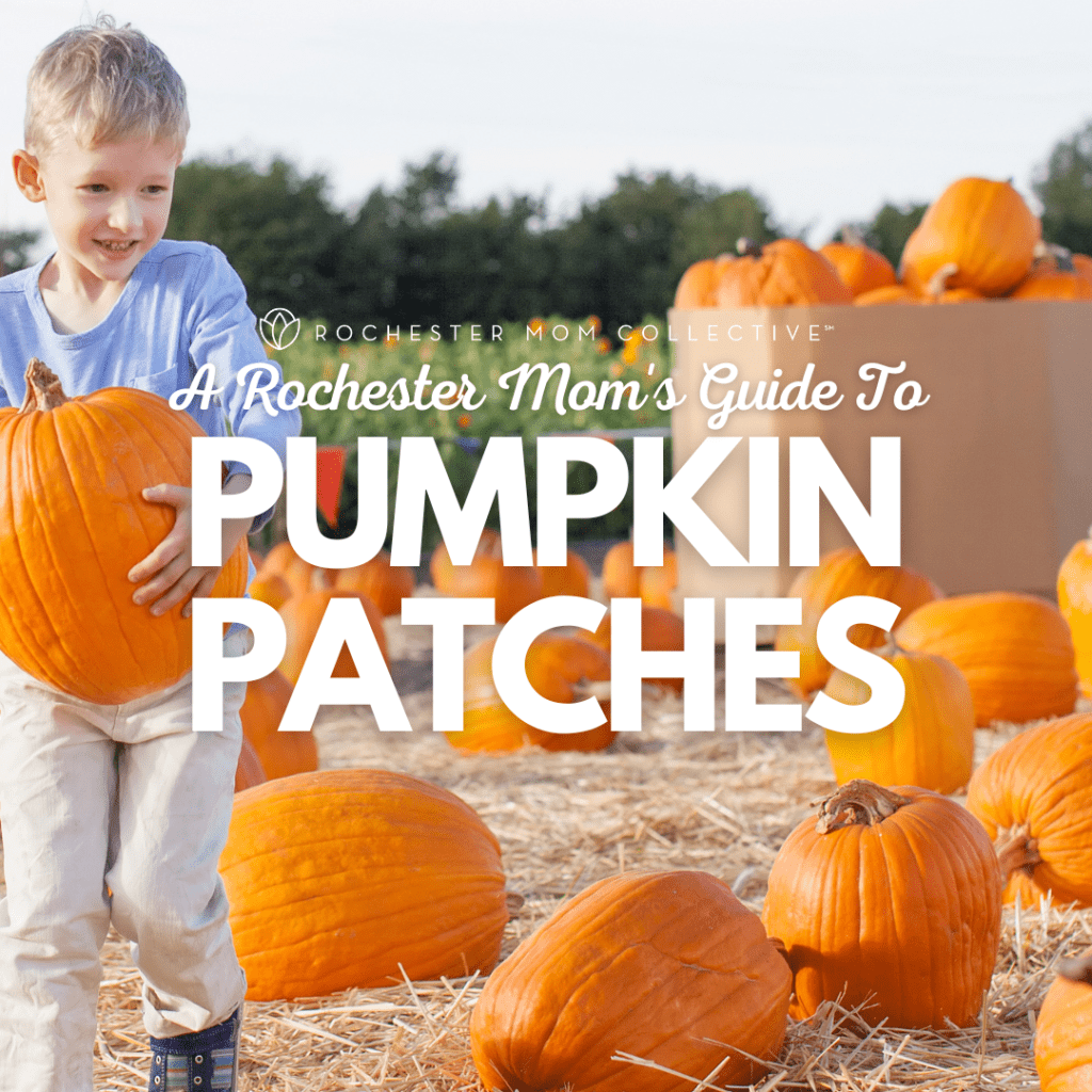 Guide To Pumpkin Patches