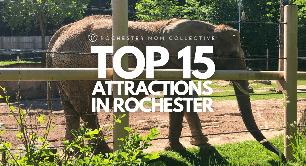 Top 15 Attractions In Rochester