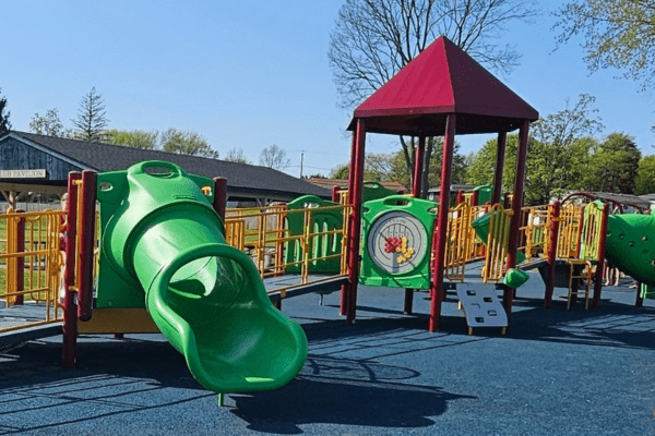 Davis Park 1 Playground Rochester Mom Collective