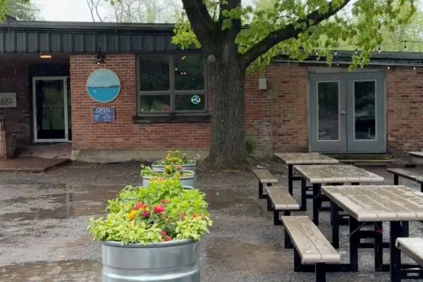 An outdoor seating area at a brewery, with planters that have flowers in them separating the parking lot from several wet picnic tables, and a large tree.